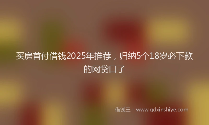 买房首付借钱2025年推荐，归纳5个18岁必下款的网贷口子