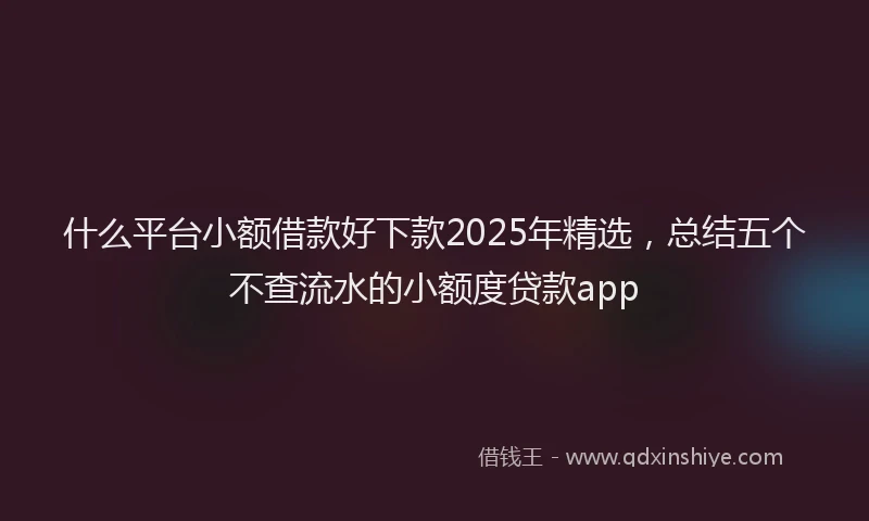 什么平台小额借款好下款2025年精选，总结五个不查流水的小额度贷款app