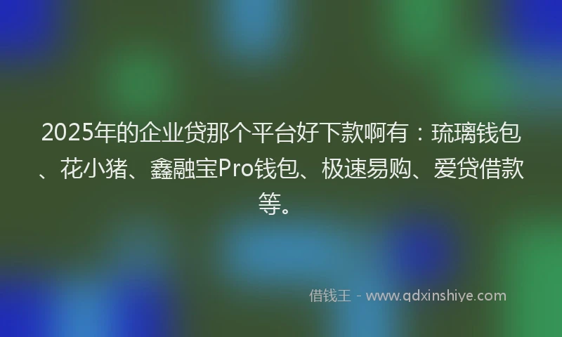2025年的企业贷那个平台好下款啊有：琉璃钱包、花小猪、鑫融宝Pro钱包、极速易购、爱贷借款等。