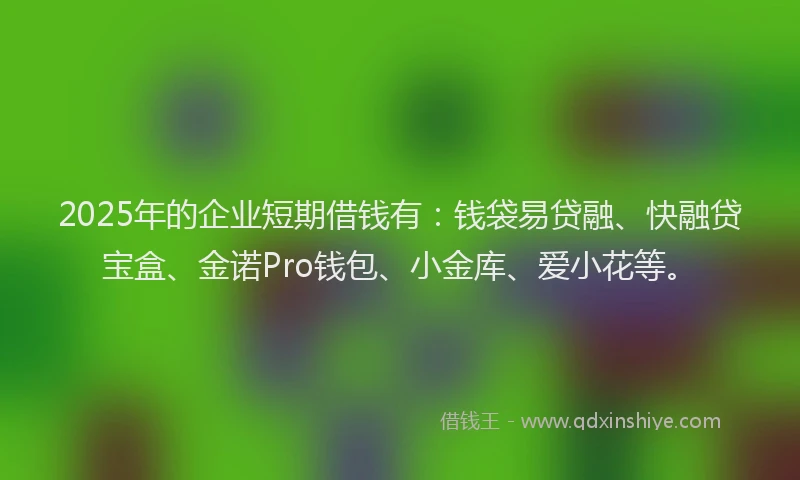 2025年的企业短期借钱有：钱袋易贷融、快融贷宝盒、金诺Pro钱包、小金库、爱小花等。