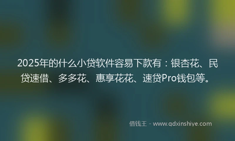 2025年的什么小贷软件容易下款有：银杏花、民贷速借、多多花、惠享花花、速贷Pro钱包等。
