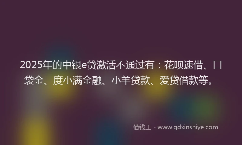 2025年的中银e贷激活不通过有：花呗速借、口袋金、度小满金融、小羊贷款、爱贷借款等。