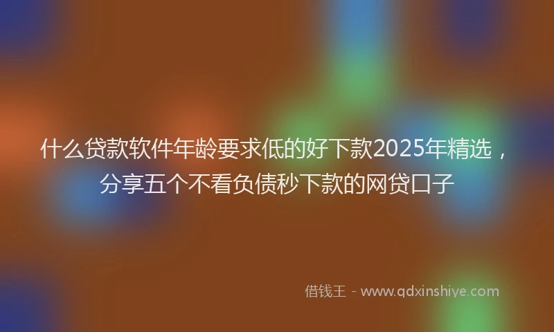 什么贷款软件年龄要求低的好下款2025年精选，分享五个不看负债秒下款的网贷口子