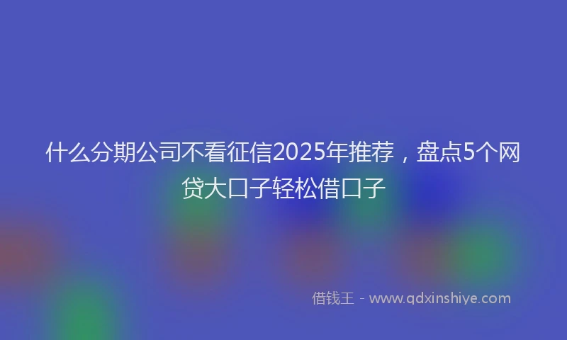 什么分期公司不看征信2025年推荐，盘点5个网贷大口子轻松借口子