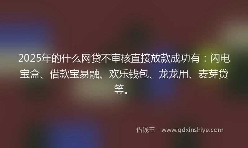 2025年的什么网贷不审核直接放款成功有：闪电宝盒、借款宝易融、欢乐钱包、龙龙用、麦芽贷等。
