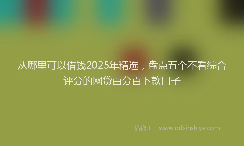 从哪里可以借钱2025年精选，盘点五个不看综合评分的网贷百分百下款口子
