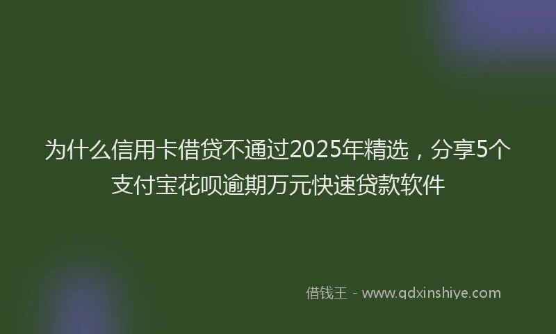 为什么信用卡借贷不通过2025年精选，分享5个支付宝花呗逾期万元快速贷款软件