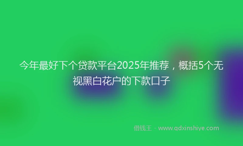 今年最好下个贷款平台2025年推荐，概括5个无视黑白花户的下款口子
