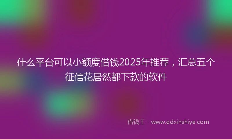 什么平台可以小额度借钱2025年推荐，汇总五个征信花居然都下款的软件