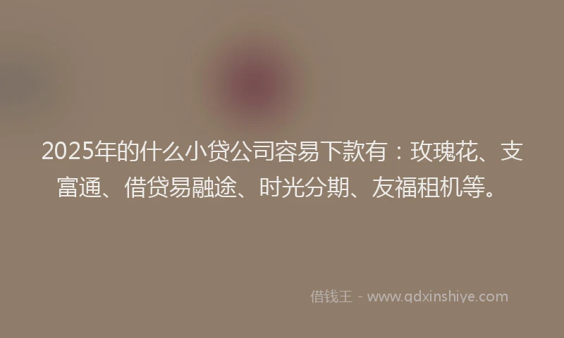 2025年的什么小贷公司容易下款有:玫瑰花、支富通、借贷易融途、时光分期、友福租机等。