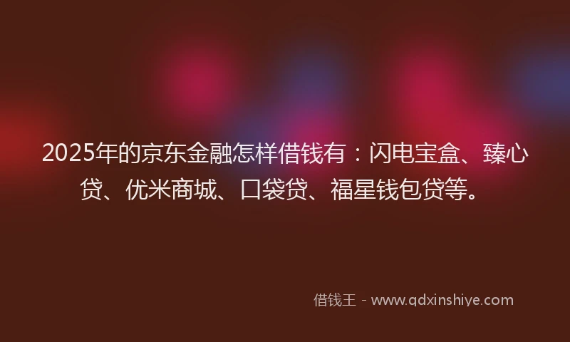 2025年的京东金融怎样借钱有：闪电宝盒、臻心贷、优米商城、口袋贷、福星钱包贷等。