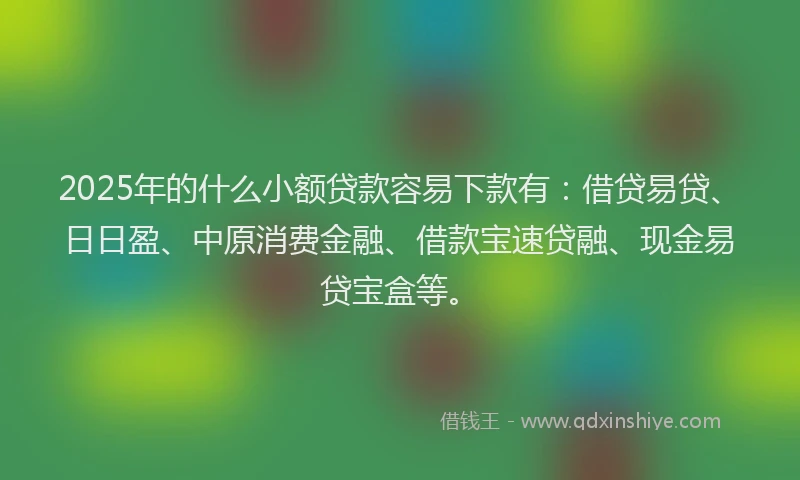2025年的什么小额贷款容易下款有：借贷易贷、日日盈、中原消费金融、借款宝速贷融、现金易贷宝盒等。