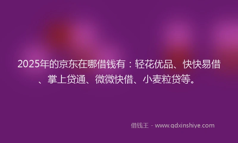 2025年的京东在哪借钱有：轻花优品、快快易借、掌上贷通、微微快借、小麦粒贷等。