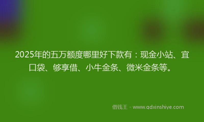 2025年的五万额度哪里好下款有：现金小站、宜口袋、够享借、小牛金条、微米金条等。