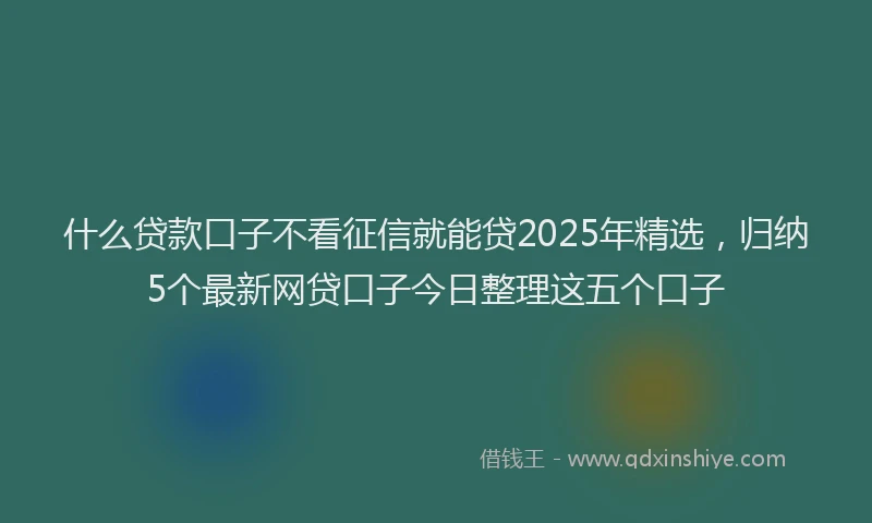 什么贷款口子不看征信就能贷2025年精选，归纳5个最新网贷口子今日整理这五个口子