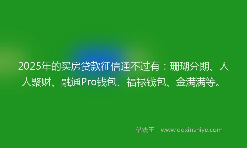 2025年的买房贷款征信通不过有：珊瑚分期、人人聚财、融通Pro钱包、福禄钱包、金满满等。