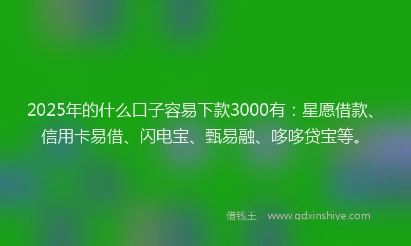 2025年的什么口子容易下款3000有：星愿借款、信用卡易借、闪电宝、甄易融、哆哆贷宝等。