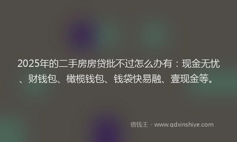 2025年的二手房房贷批不过怎么办有：现金无忧、财钱包、橄榄钱包、钱袋快易融、壹现金等。