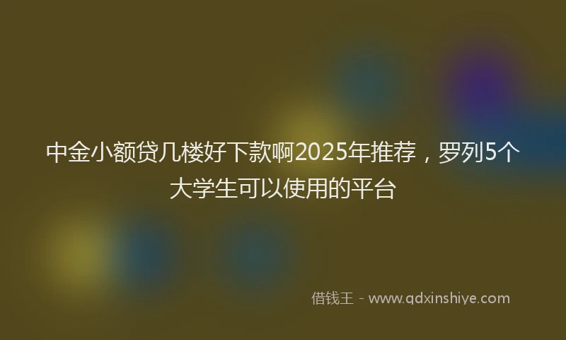中金小额贷几楼好下款啊2025年推荐，罗列5个大学生可以使用的平台