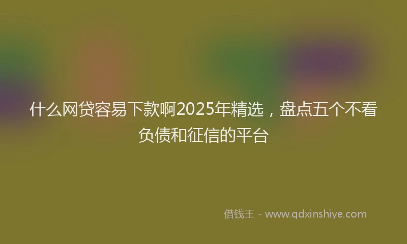 什么网贷容易下款啊2025年精选，盘点五个不看负债和征信的平台