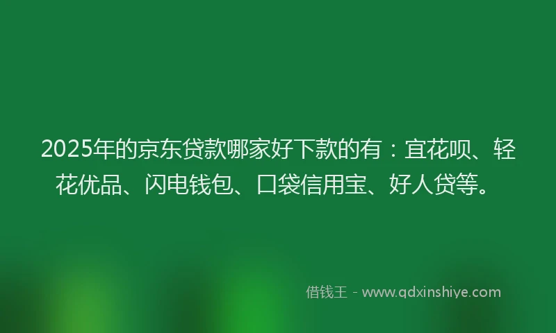 2025年的京东贷款哪家好下款的有：宜花呗、轻花优品、闪电钱包、口袋信用宝、好人贷等。