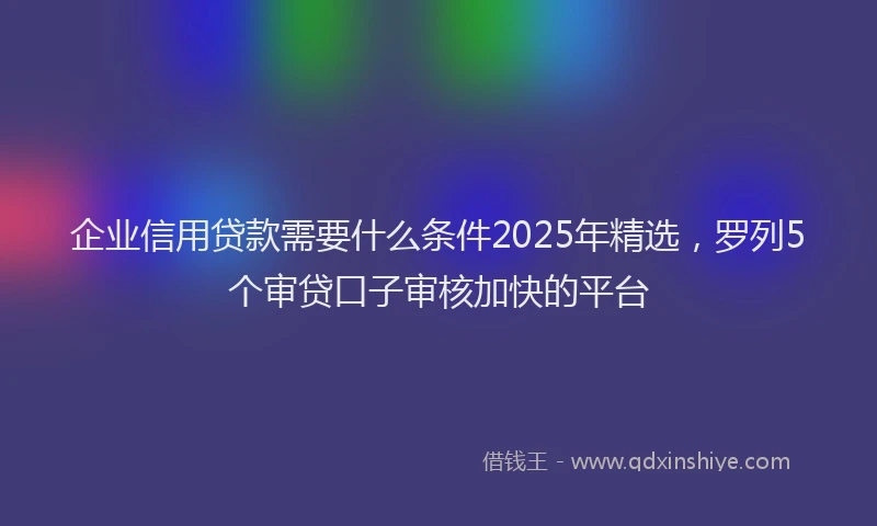 企业信用贷款需要什么条件2025年精选，罗列5个审贷口子审核加快的平台