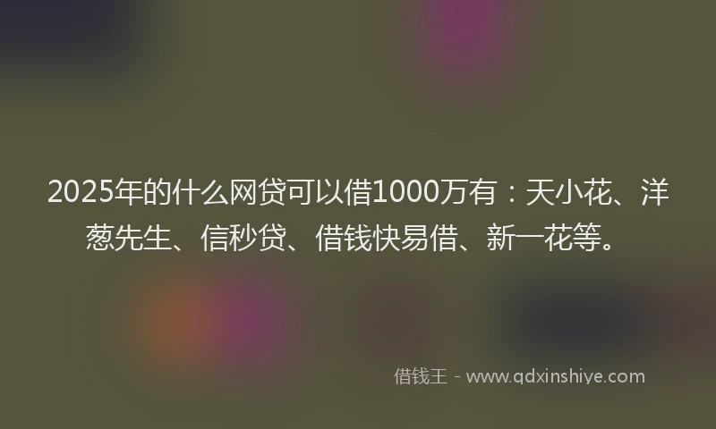 2025年的什么网贷可以借1000万有：天小花、洋葱先生、信秒贷、借钱快易借、新一花等。