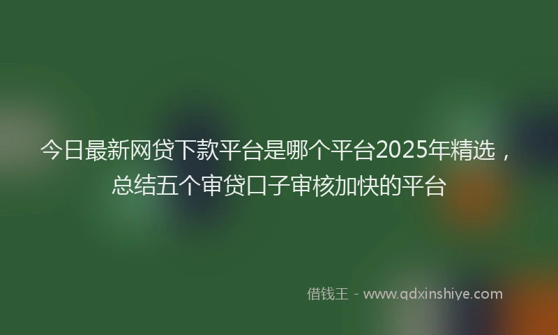今日最新网贷下款平台是哪个平台2025年精选，总结五个审贷口子审核加快的平台