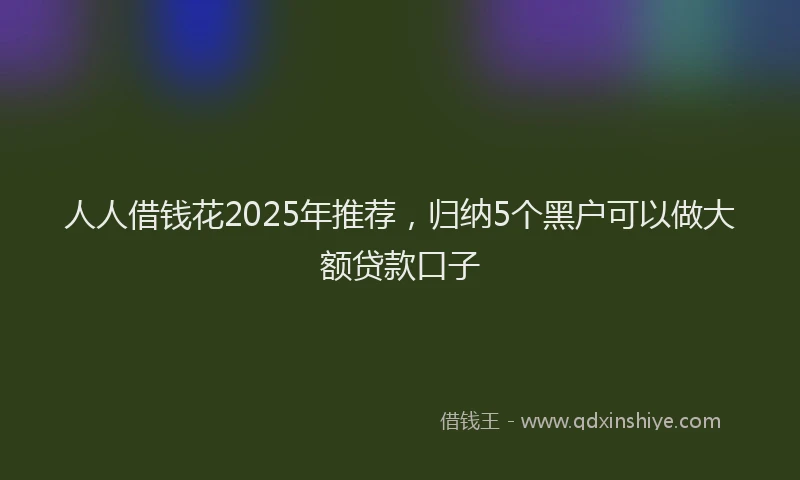 人人借钱花2025年推荐，归纳5个黑户可以做大额贷款口子