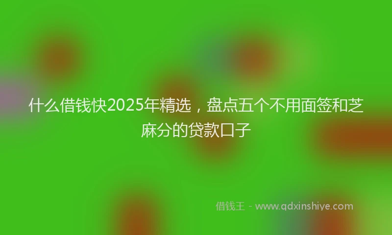 什么借钱快2025年精选，盘点五个不用面签和芝麻分的贷款口子