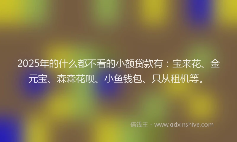 2025年的什么都不看的小额贷款有：宝来花、金元宝、森森花呗、小鱼钱包、只从租机等。