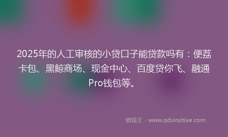 2025年的人工审核的小贷口子能贷款吗有：便荔卡包、黑鲸商场、现金中心、百度贷你飞、融通Pro钱包等。