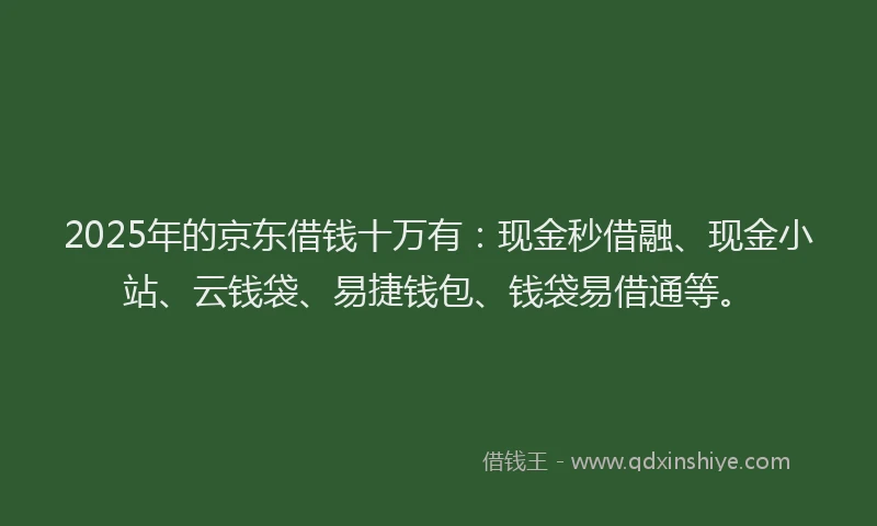 2025年的京东借钱十万有：现金秒借融、现金小站、云钱袋、易捷钱包、钱袋易借通等。