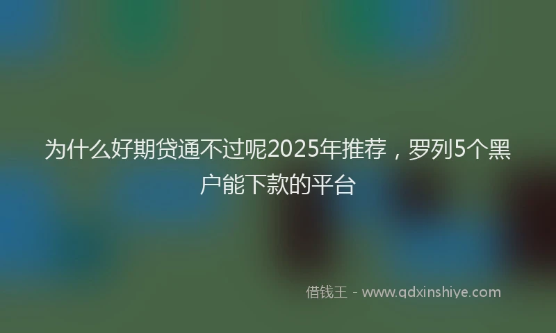 为什么好期贷通不过呢2025年推荐，罗列5个黑户能下款的平台