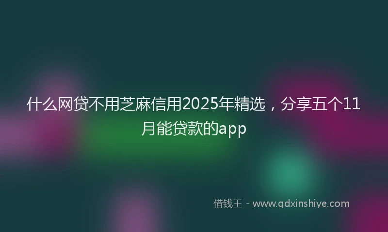 什么网贷不用芝麻信用2025年精选，分享五个11月能贷款的app
