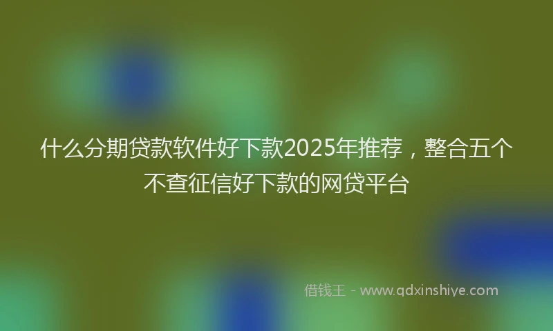 什么分期贷款软件好下款2025年推荐，整合五个不查征信好下款的网贷平台