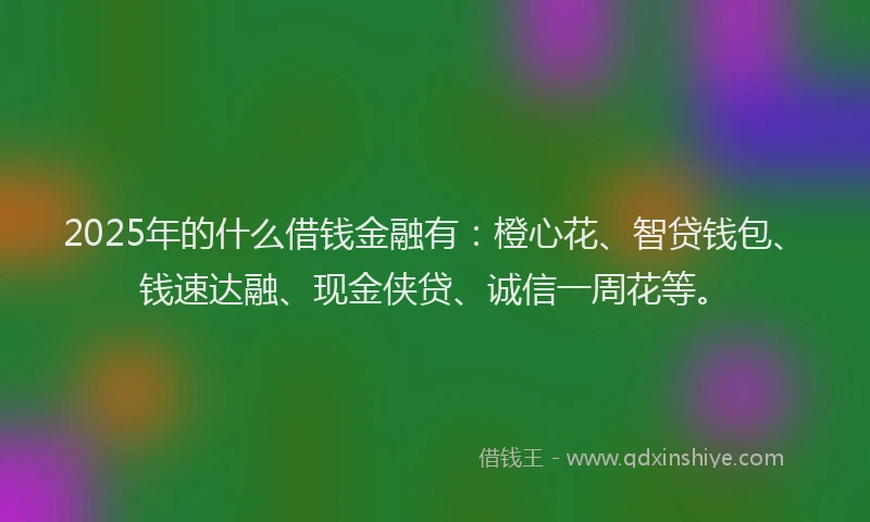 2025年的什么借钱金融有：橙心花、智贷钱包、钱速达融、现金侠贷、诚信一周花等。