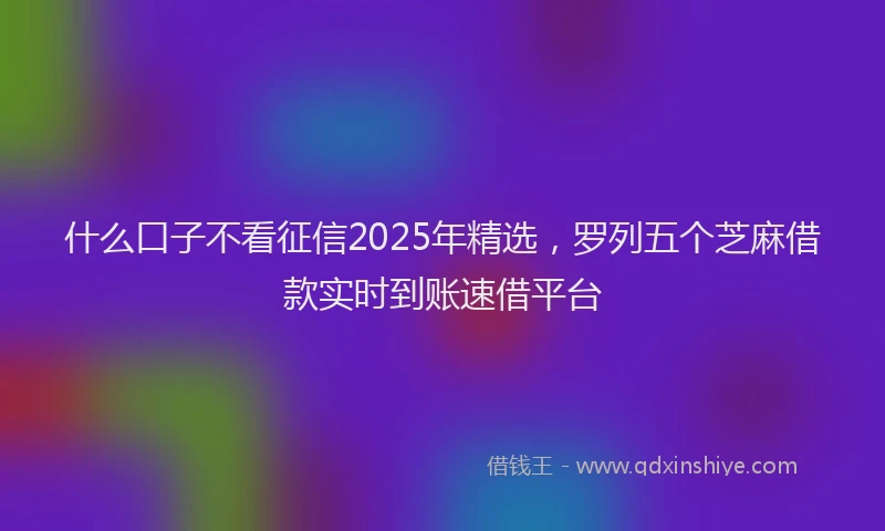 什么口子不看征信2025年精选，罗列五个芝麻借款实时到账速借平台