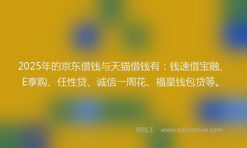 2025年的京东借钱与天猫借钱有：钱速借宝融、E享购、任性贷、诚信一周花、福星钱包贷等。