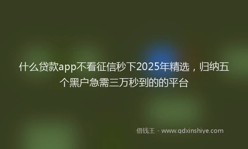 什么贷款app不看征信秒下2025年精选,归纳五个黑户急需三万秒到的的平台