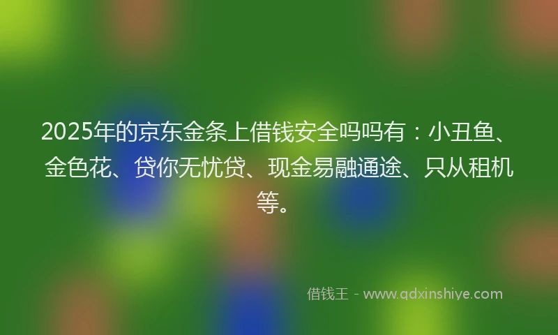 2025年的京东金条上借钱安全吗吗有：小丑鱼、金色花、贷你无忧贷、现金易融通途、只从租机等。