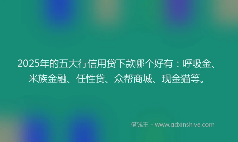 2025年的五大行信用贷下款哪个好有：呼吸金、米族金融、任性贷、众帮商城、现金猫等。