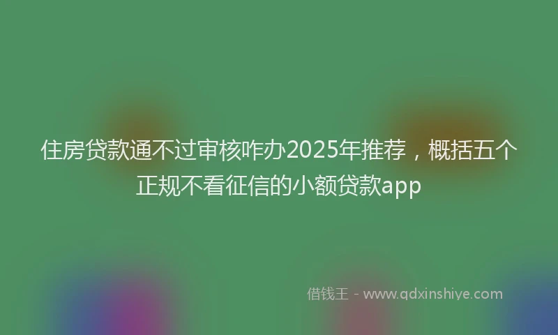 住房贷款通不过审核咋办2025年推荐，概括五个正规不看征信的小额贷款app