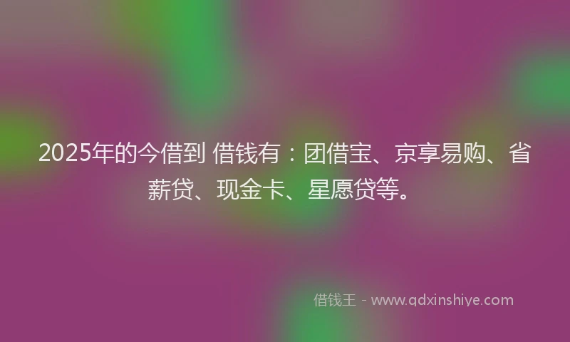 2025年的今借到 借钱有：团借宝、京享易购、省薪贷、现金卡、星愿贷等。