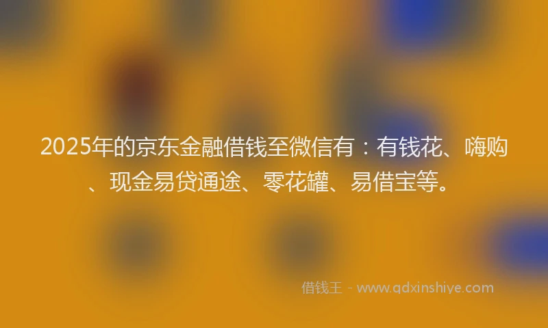 2025年的京东金融借钱至微信有：有钱花、嗨购、现金易贷通途、零花罐、易借宝等。
