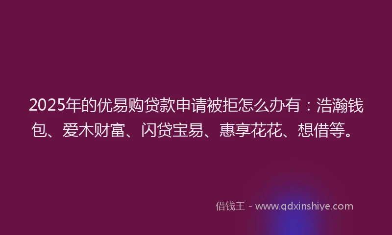 2025年的优易购贷款申请被拒怎么办有：浩瀚钱包、爱木财富、闪贷宝易、惠享花花、想借等。