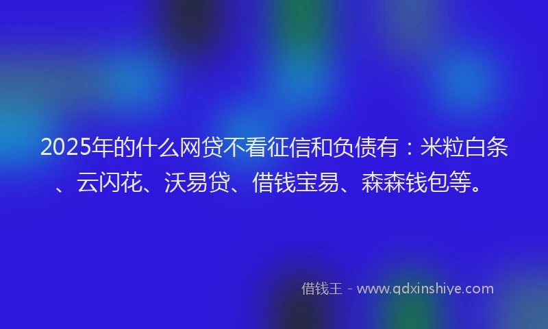 2025年的什么网贷不看征信和负债有：米粒白条、云闪花、沃易贷、借钱宝易、森森钱包等。