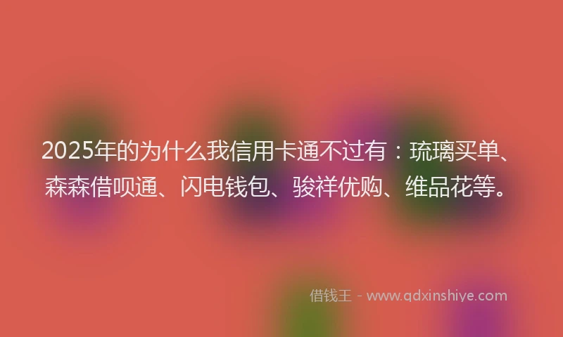 2025年的为什么我信用卡通不过有：琉璃买单、森森借呗通、闪电钱包、骏祥优购、维品花等。