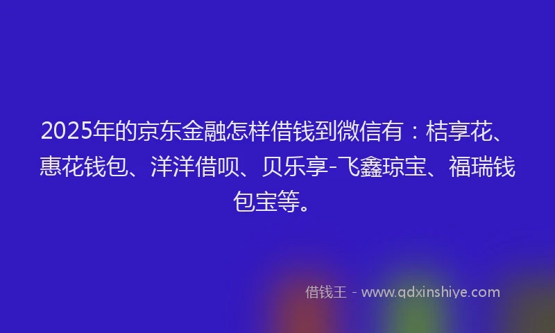 2025年的京东金融怎样借钱到微信有：桔享花、惠花钱包、洋洋借呗、贝乐享-飞鑫琼宝、福瑞钱包宝等。