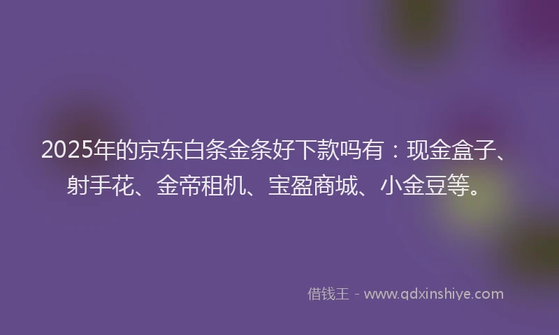 2025年的京东白条金条好下款吗有：现金盒子、射手花、金帝租机、宝盈商城、小金豆等。
